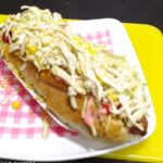 perro6